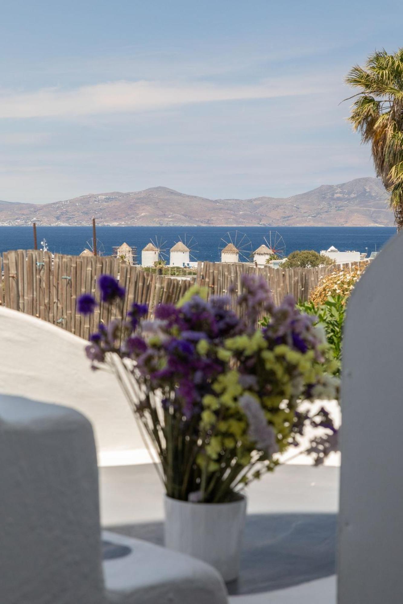 Dimele Aparthotel Mykonos Town Exterior photo